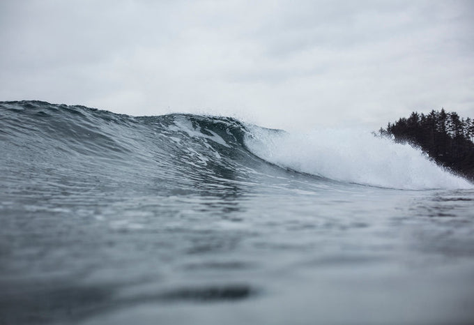 A Wave of Inspiration