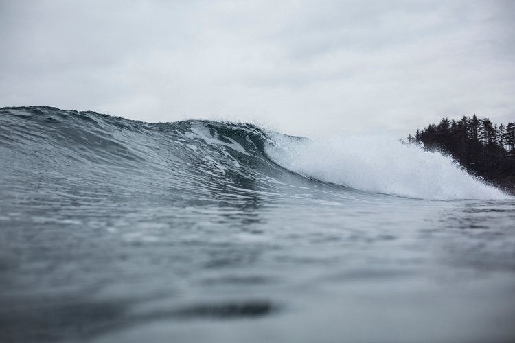 A Wave of Inspiration