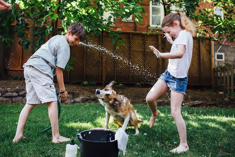 An Unscented Wash for Patch