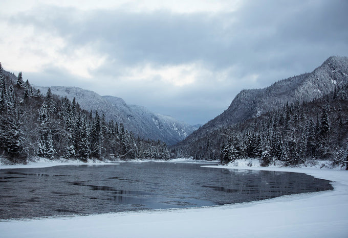 Meet Alexandra CD: The Sincerity of Wellness