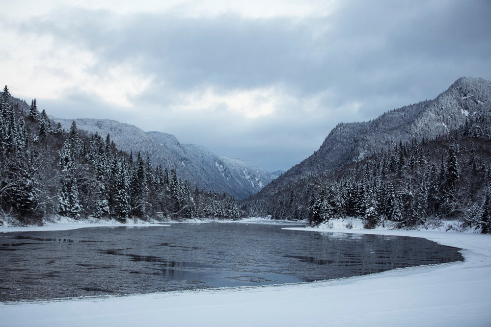 Meet Alexandra CD: The Sincerity of Wellness