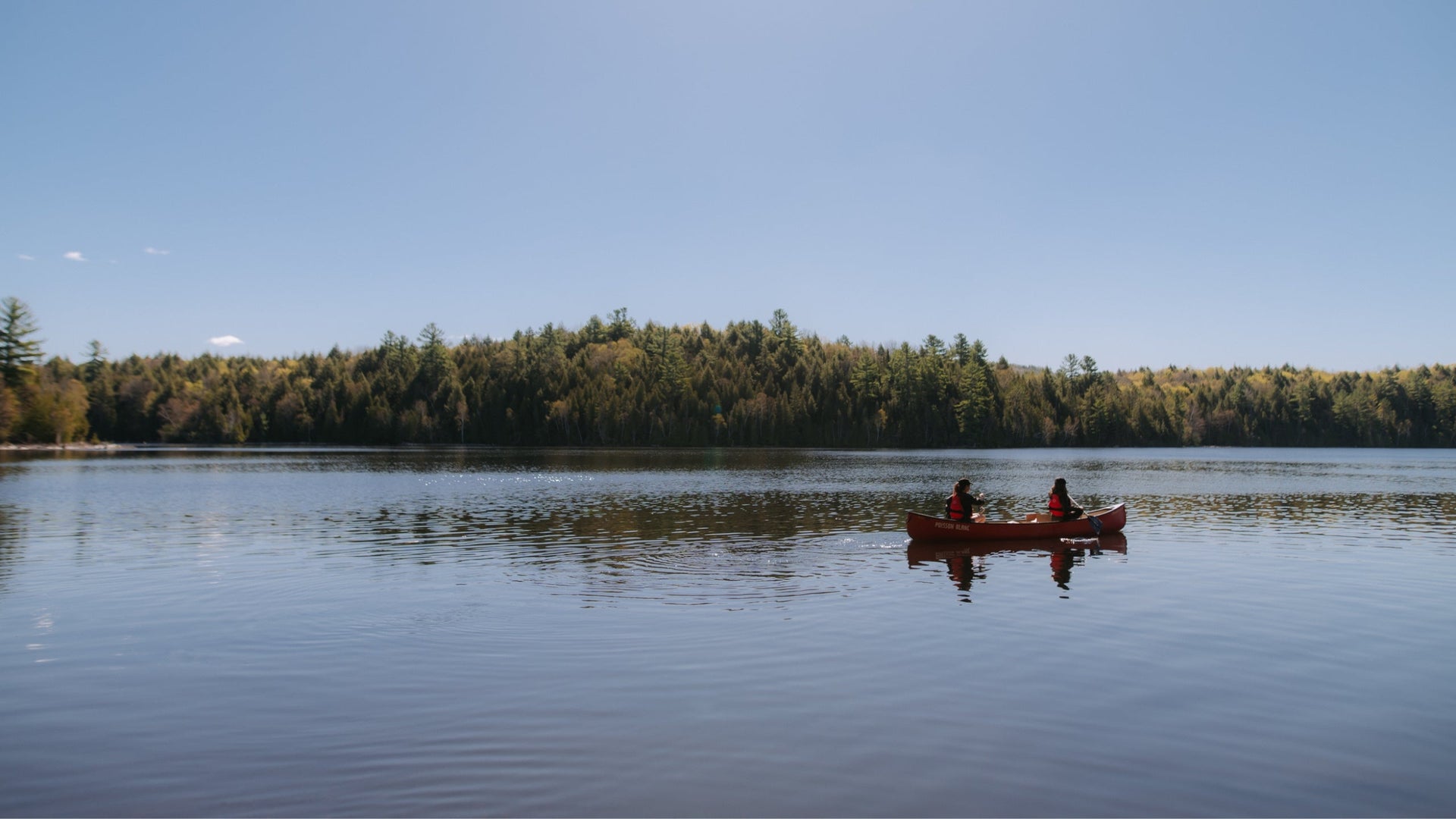 Two people paddling a red canoe on a calm lake surrounded by dense forest under a clear blue sky, with gentle ripples reflecting the sunlight.