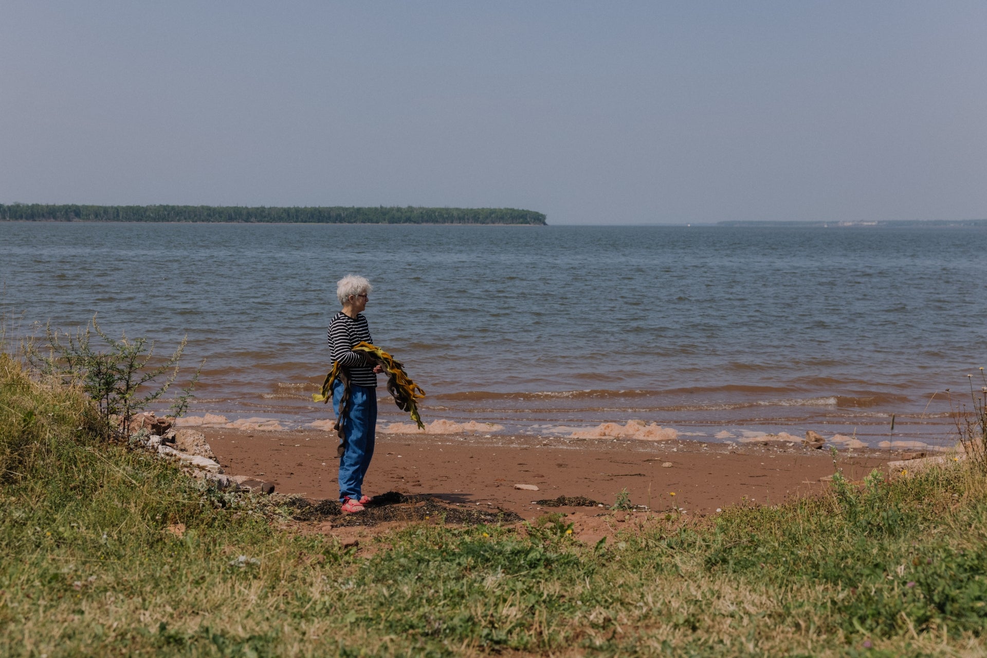 An elderly woman with white hair, wearing a striped shirt and blue pants, stands on a beach holding freshly harvested seaweed, with the ocean and distant forested shoreline in the background.