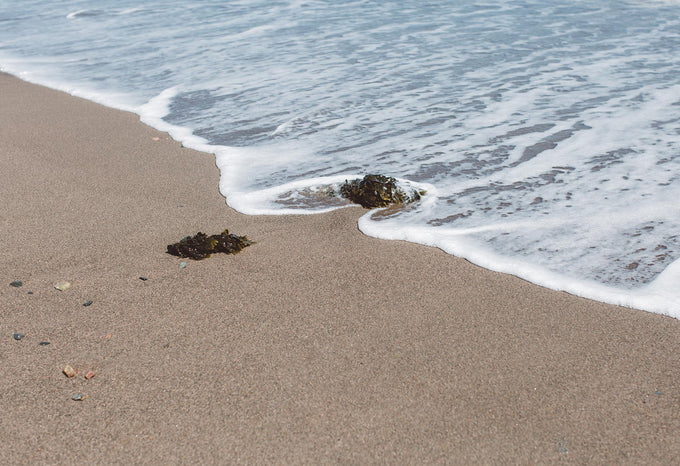 Reconnecting with our essential nature