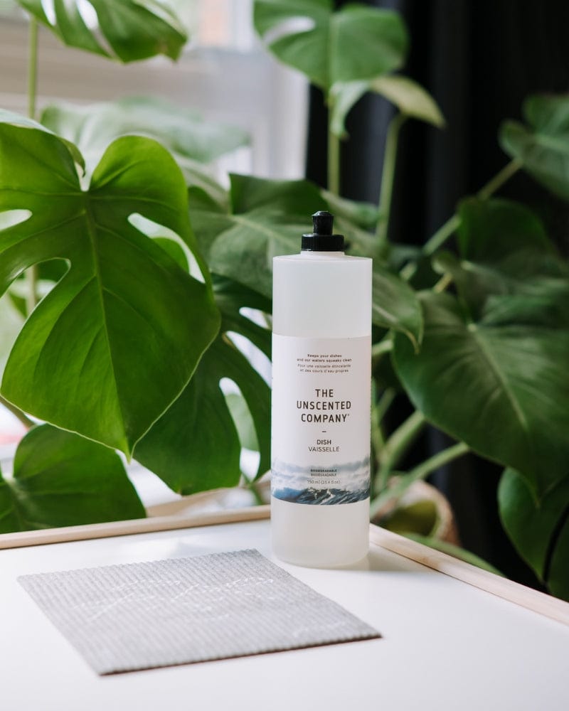 The Unscented Company dish soap on a white table with green leaves behind.