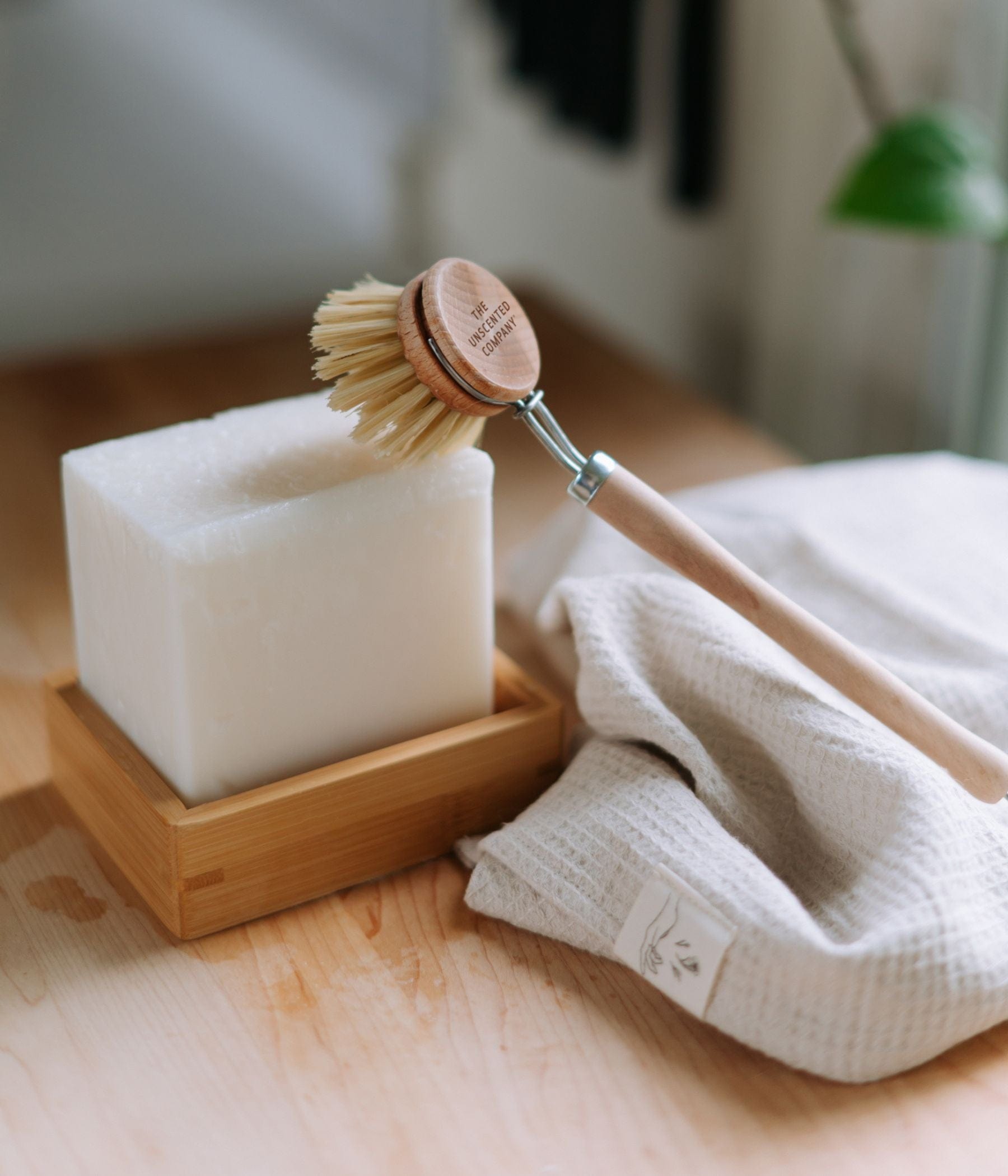 Dish brush resting on a solid dish soap block.