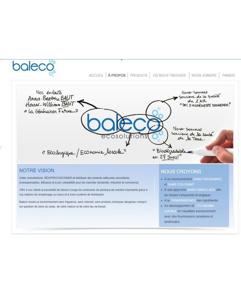 Baleco webpage with vision and values.