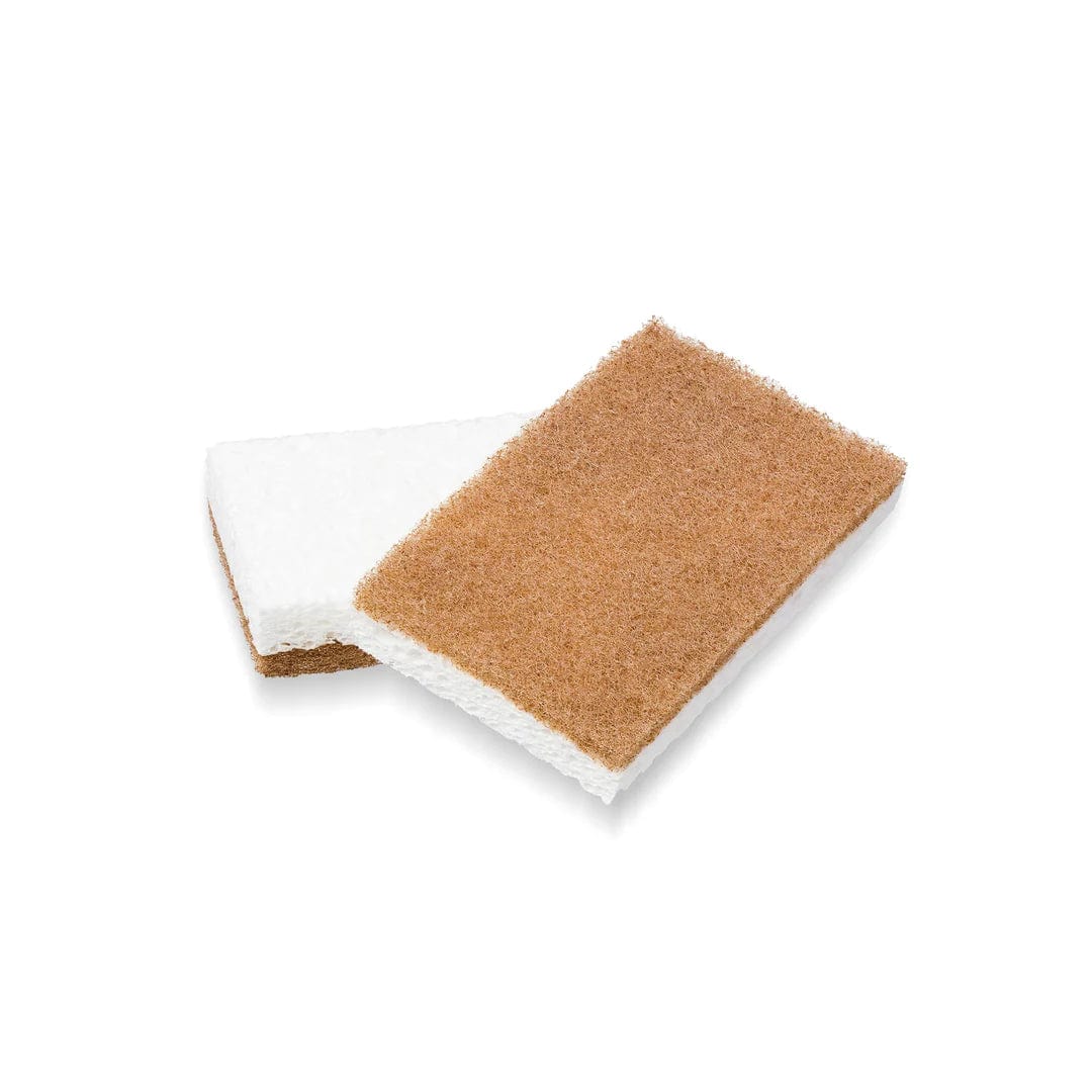 Double-sided walnut scrubber sponge featuring a brown abrasive side and a white soft absorbent side.
