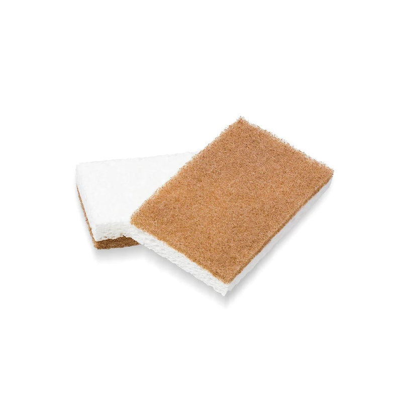 Double-sided walnut scrubber sponge featuring a brown abrasive side and a white soft absorbent side.