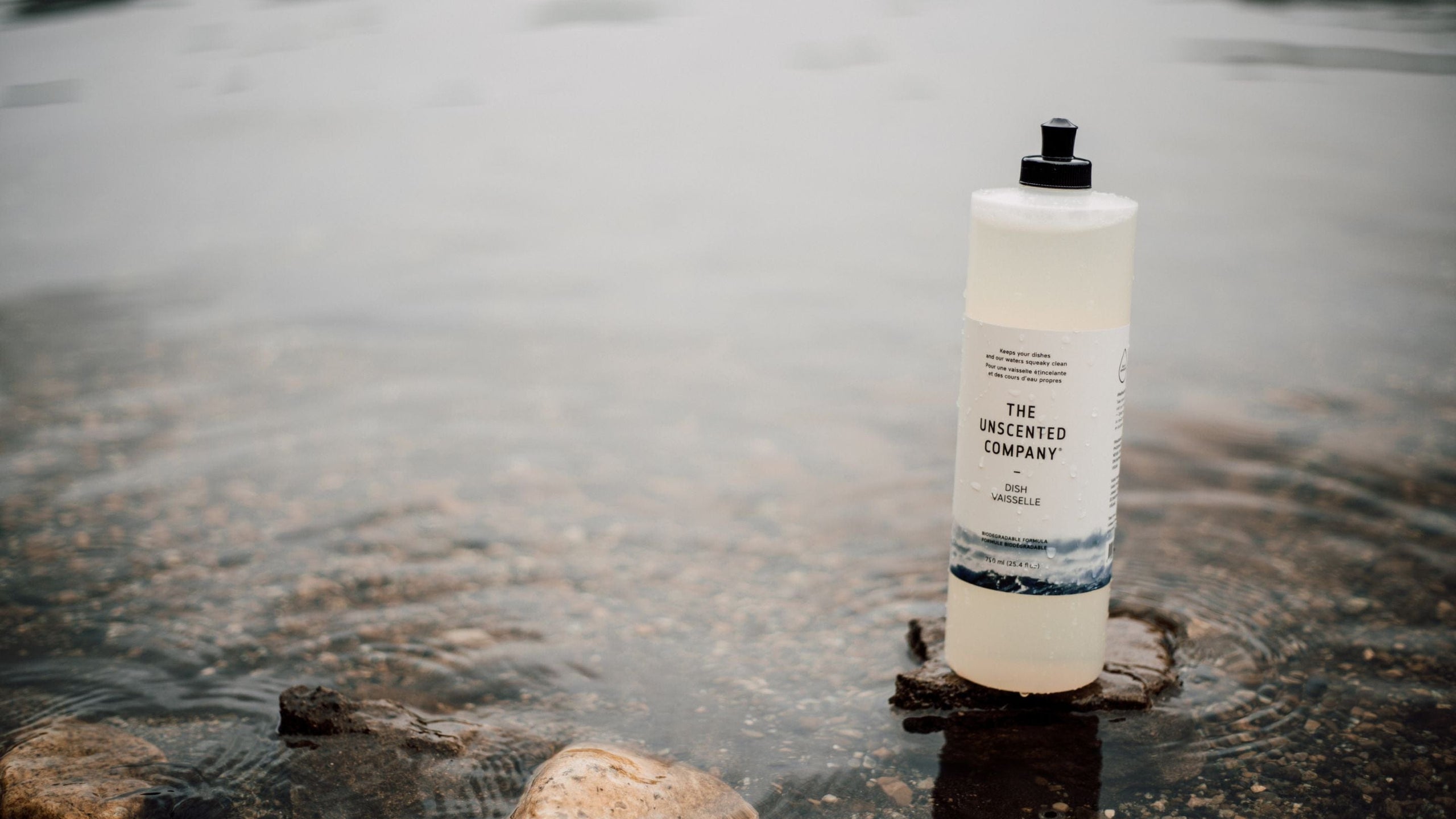 Dish soap from The Unscented Company on a rock in the lake.