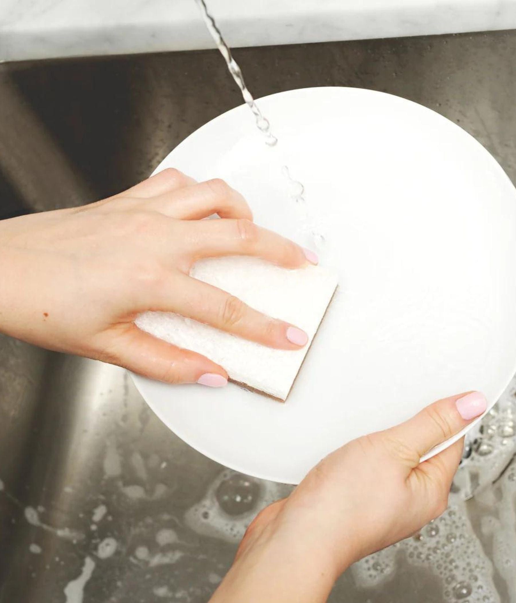Washing a white plate using a biodegradable sponge under running water.
