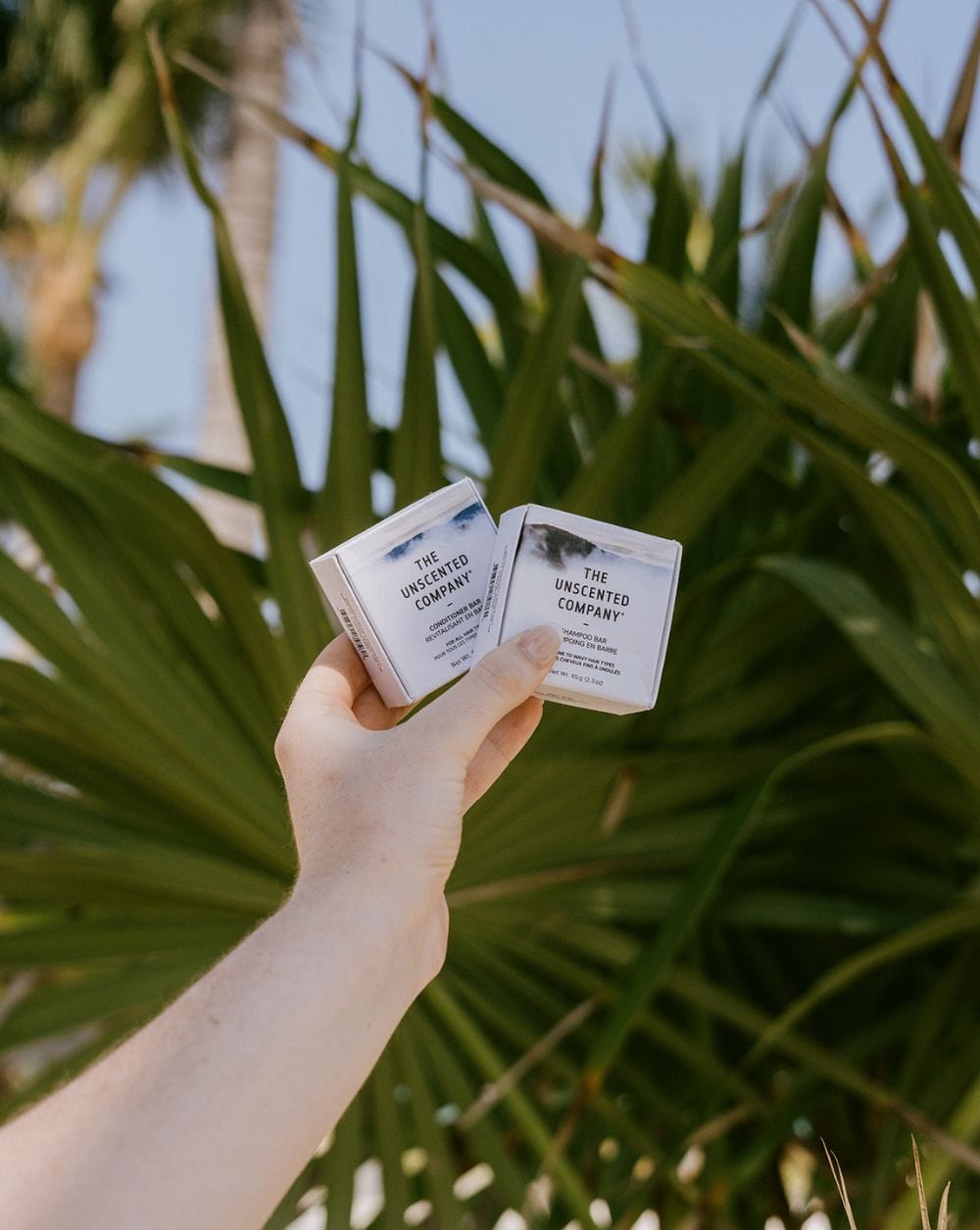 Hand holding two boxes of The Unscented Company shampoo bars in front of tropical palm leaves.