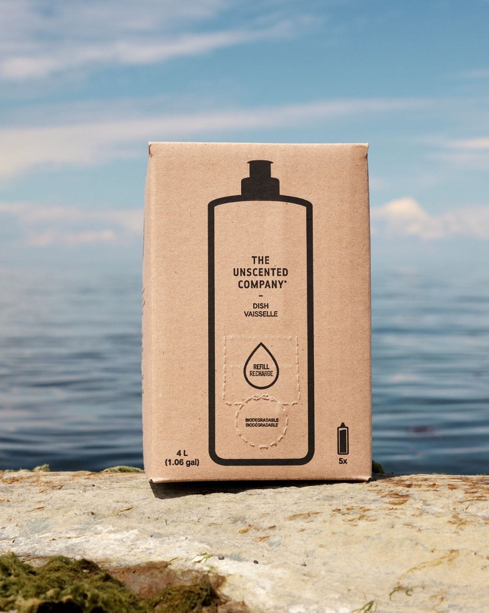Box of The Unscented Company dish soap on a rock by the water.