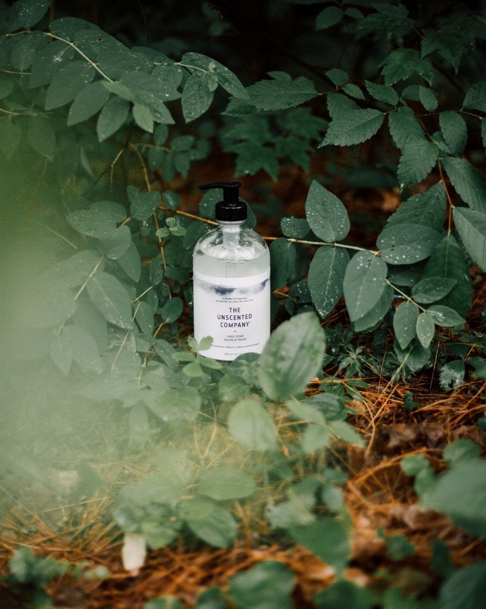 Bottle of The Unscented Company hand soap surrounded by green foliage.