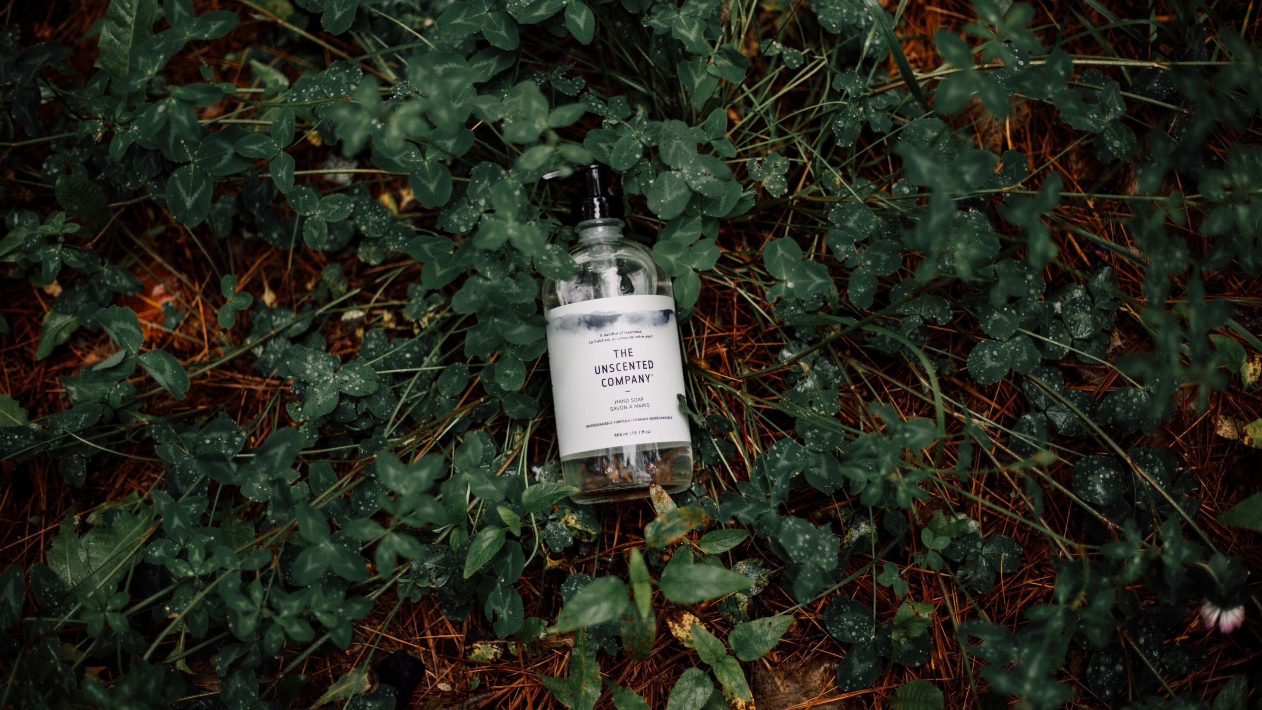 Bottle of The Unscented Company hand soap lying on green clover leaves and pine needles.
