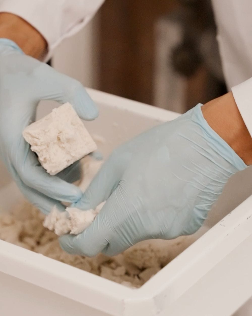 Person wearing blue gloves holding a block of white compressed
paste over a container filled with similar material.