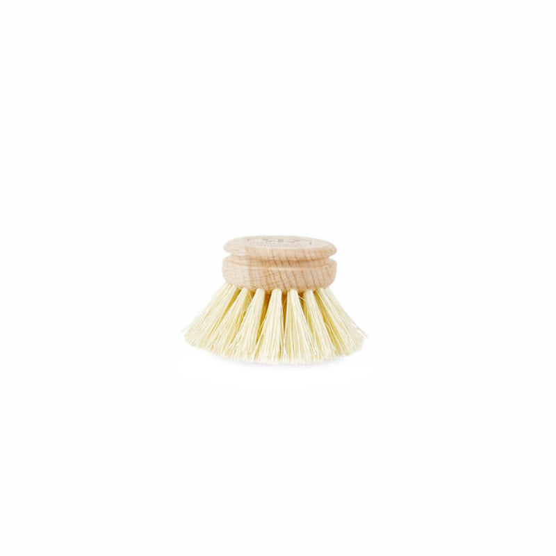 Replacement Head - Dish Brush