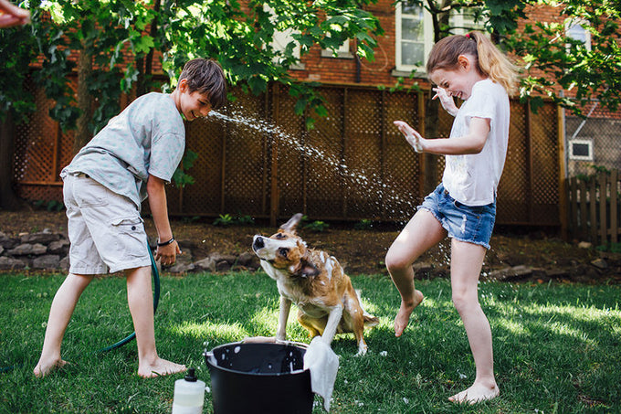 An Unscented Wash for Patch