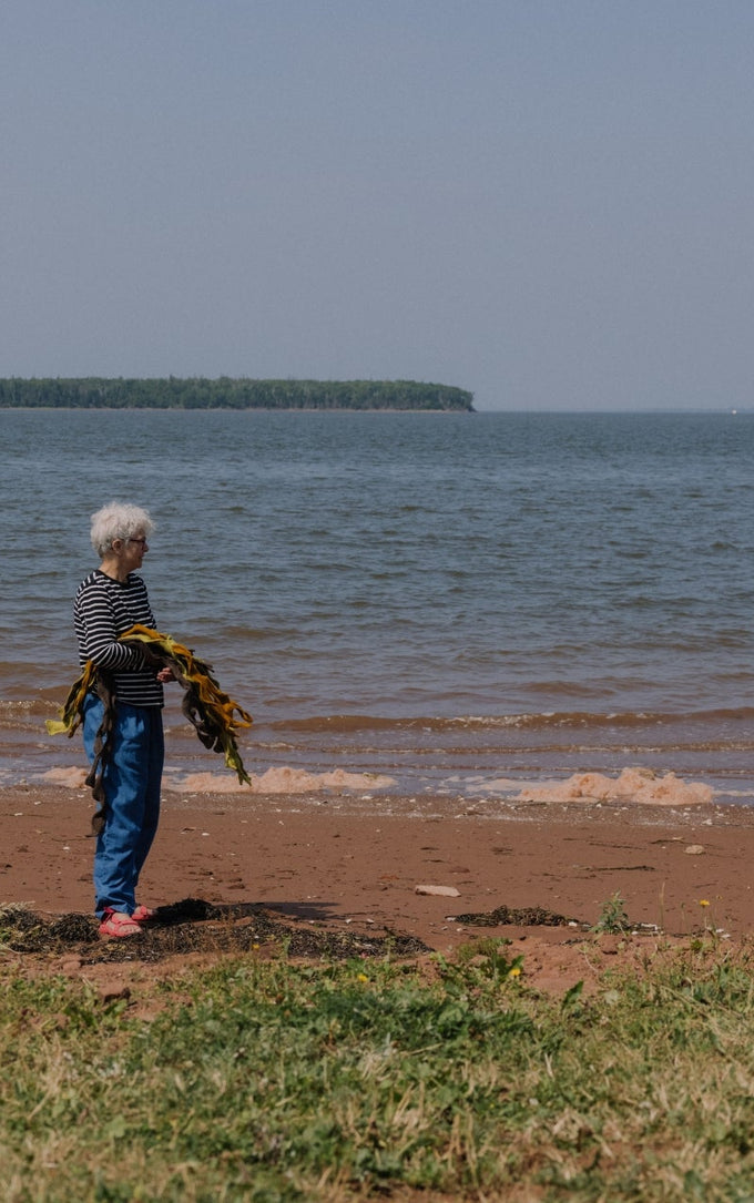 An elderly woman with white hair, wearing a striped shirt and blue pants, stands on a beach holding freshly harvested seaweed, with the ocean and distant forested shoreline in the background.