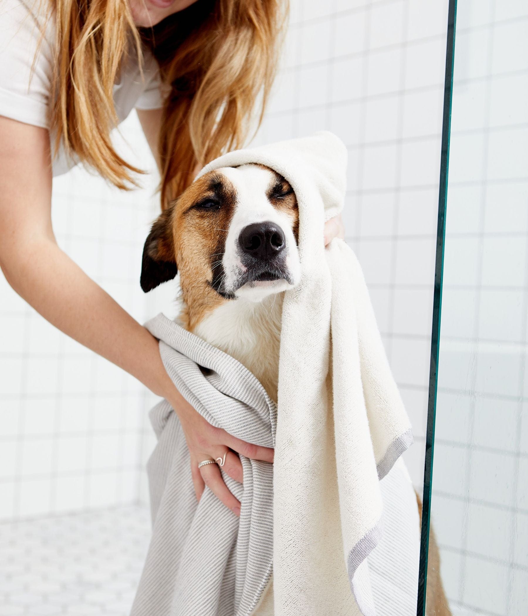 Person drying a dog with towels after a bath.