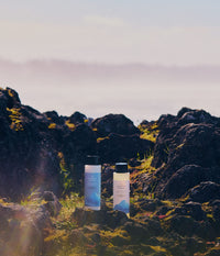 Two The Unscented Company hair care bottles, including volumizing shampoo and conditioner, stand upright among dark moss-covered coastal rocks and small patches of greenery. The white bottles feature black caps and blue botanical packaging, photographed outdoors in warm natural sunlight with a softly blurred ocean and coastline in the background.