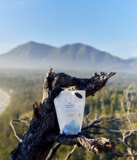 A large white refill pouch of The Unscented Company Volumizing Shampoo with blue botanical graphics and a black spout rests against a weathered tree branch. The unscented hair care refill is photographed outdoors in bright natural sunlight, overlooking a lush green forest and a distant mountain range beneath a clear blue sky.