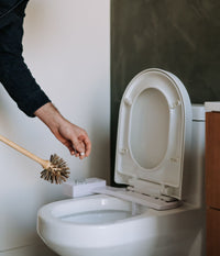 Toilet Bowl Cleaner - 22 tabs