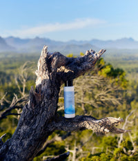 A 473 mL bottle of The Unscented Company volumizing conditioner with blue botanical graphics and a black cap stands on the branch of a weathered tree. The unscented hair care product is photographed outdoors in bright natural light, overlooking a lush green forest and distant mountain range beneath a clear blue sky.