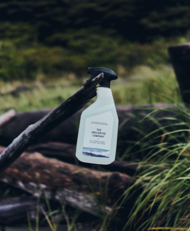 La bouteille de nettoyant tout usage de The Unscented Company en équilibre sur un morceau de bois flotté, avec une forêt côtière et de hautes herbes en arrière-plan.